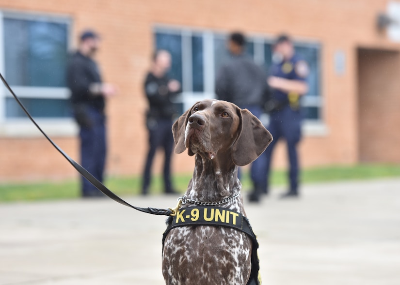 An explosive detection K-9 unit waits outside prior to the Multi-Agency K-9 Explosive Training Event at Thomas A. Edison High School in Alexandria, Va., Apr. 6, 2022. The event hosted MWDs from the Federal Bureau of Investigation, Department of Defense, multiple private organizations, police departments and other agencies for a total of more than 70 teams. (U.S. Air Force photo by Airman 1st Class Austin Pate)