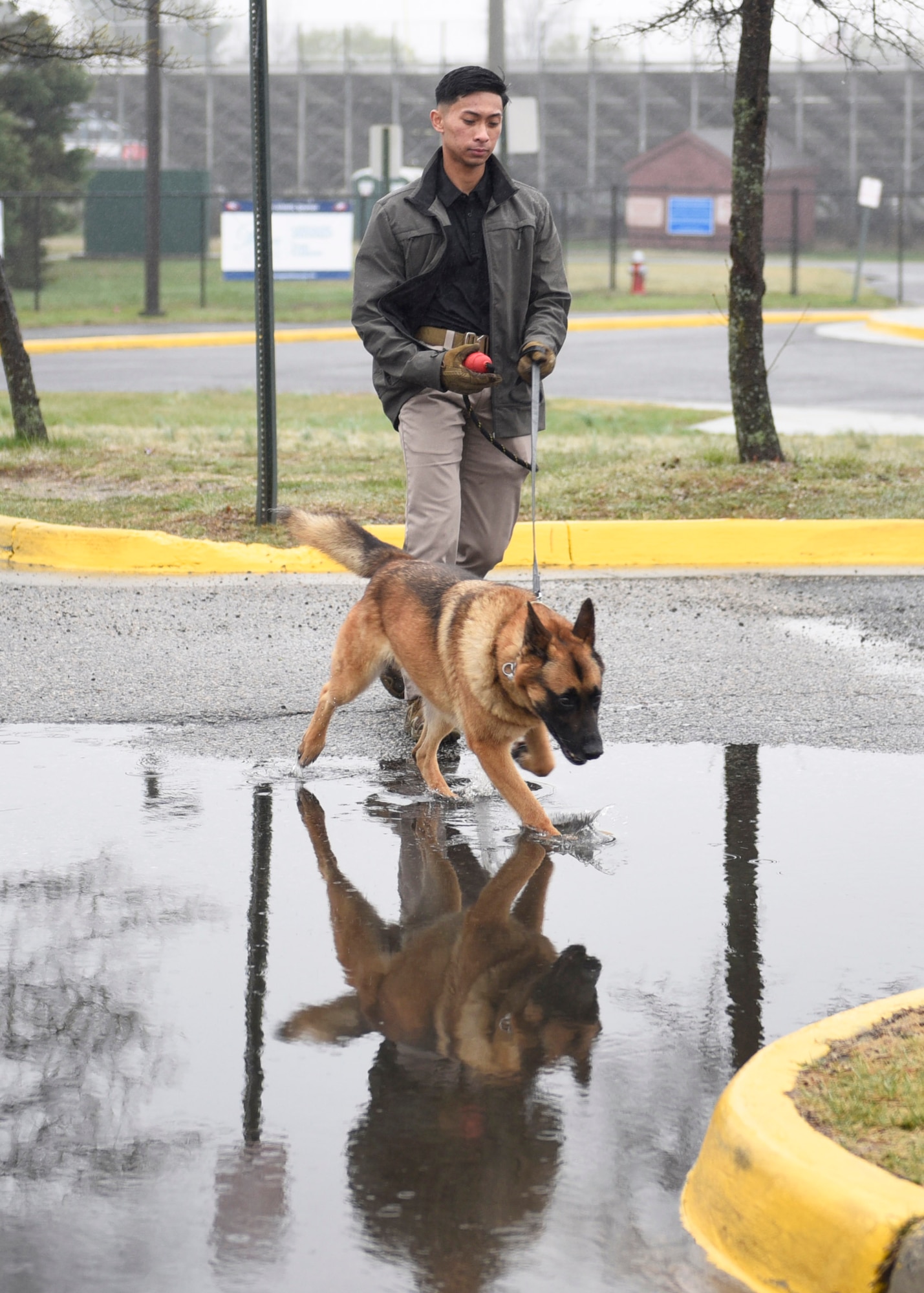 Senior Airman Alistair Dela Cruz, 316th Security Support Squadron military working dog handler, takes MWD Fill for a walk prior to the Multi-Agency K-9 Explosive Training Event at Thomas A. Edison High School in Alexandria, Va., Apr. 6, 2022. Handlers attend this training quarterly and the 316th SSPTS tries to send MWD teams who have never attended in the past. (U.S. Air Force photo by Airman 1st Class Austin Pate)