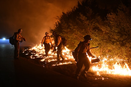 Firefighters dropping flames to stop wildfire.