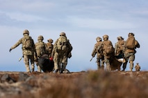 U.S. Marines and Sailors assigned to 22nd Marine Expeditionary Unit and Royal Marine Commandos assigned to M Company, 42 Commando Royal Marines move simulated casualties during a tactical recovery of aircraft and personnel exercise in support of Northern Viking 2022 on Keflavik Airbase, Iceland, April 8, 2022. Northern Viking 22 strengthens interoperability and force readiness between the U.S., Iceland and Allied nations, enabling multi-domain command and control of joint and coalition forces in the defense of Iceland and Sea Lines of Communication in the Greenland, Iceland, United Kingdom (GIUK) gap. (U.S. Marine Corps photo by Cpl. Yvonna Guyette)