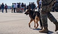 Joint Base Charleston hosts the Titans of Flight 2022 Air Expo