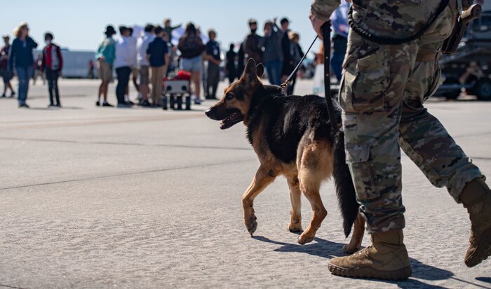 Joint Base Charleston hosts the Titans of Flight 2022 Air Expo