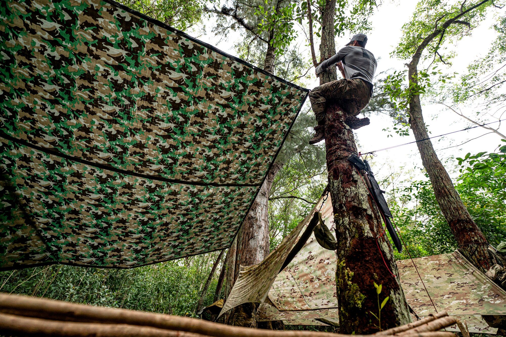 Photo of Airman in a tree