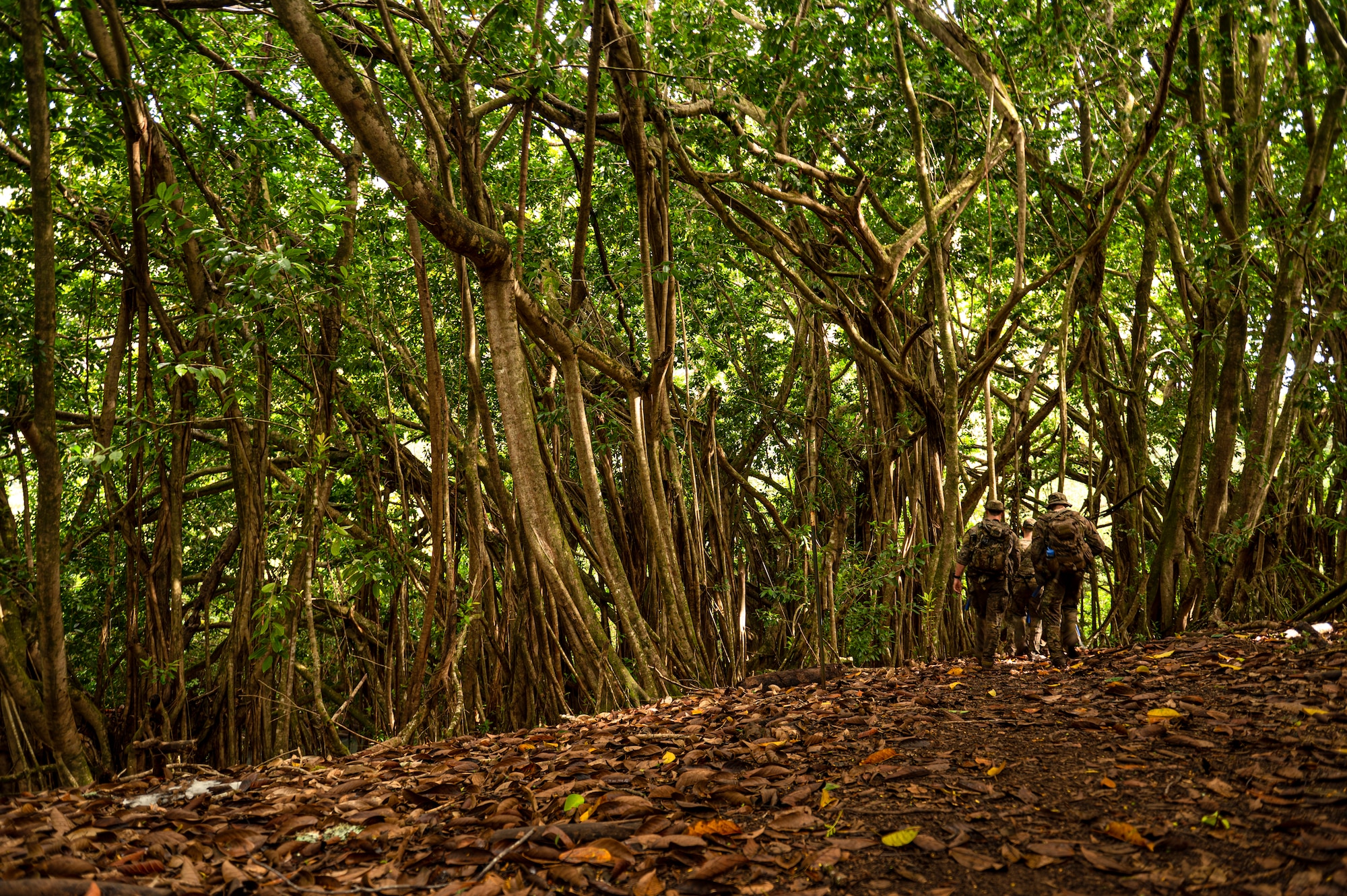 Photo of Airmen walking through the jungle