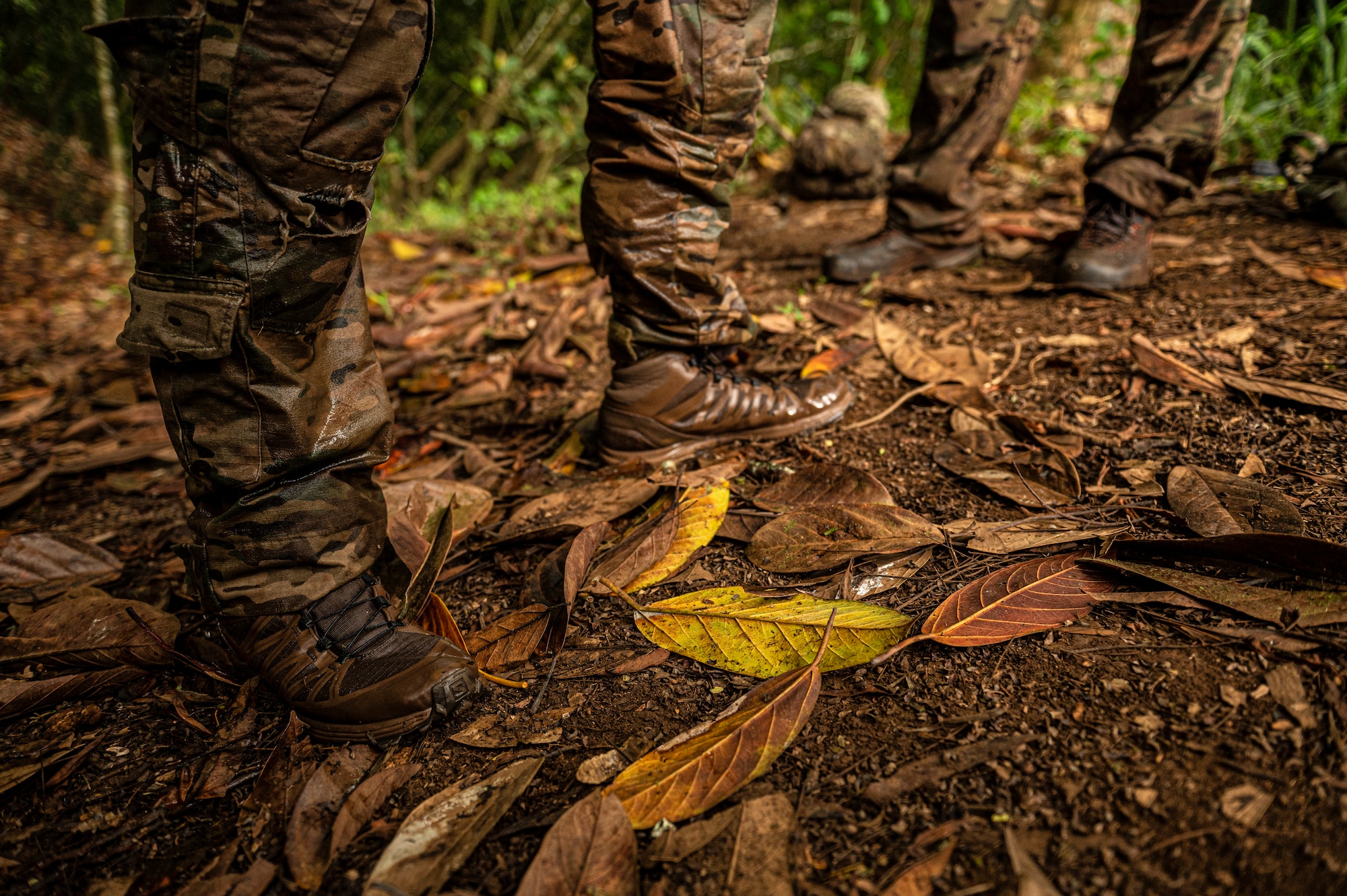 Photo of Airmen in the jungle