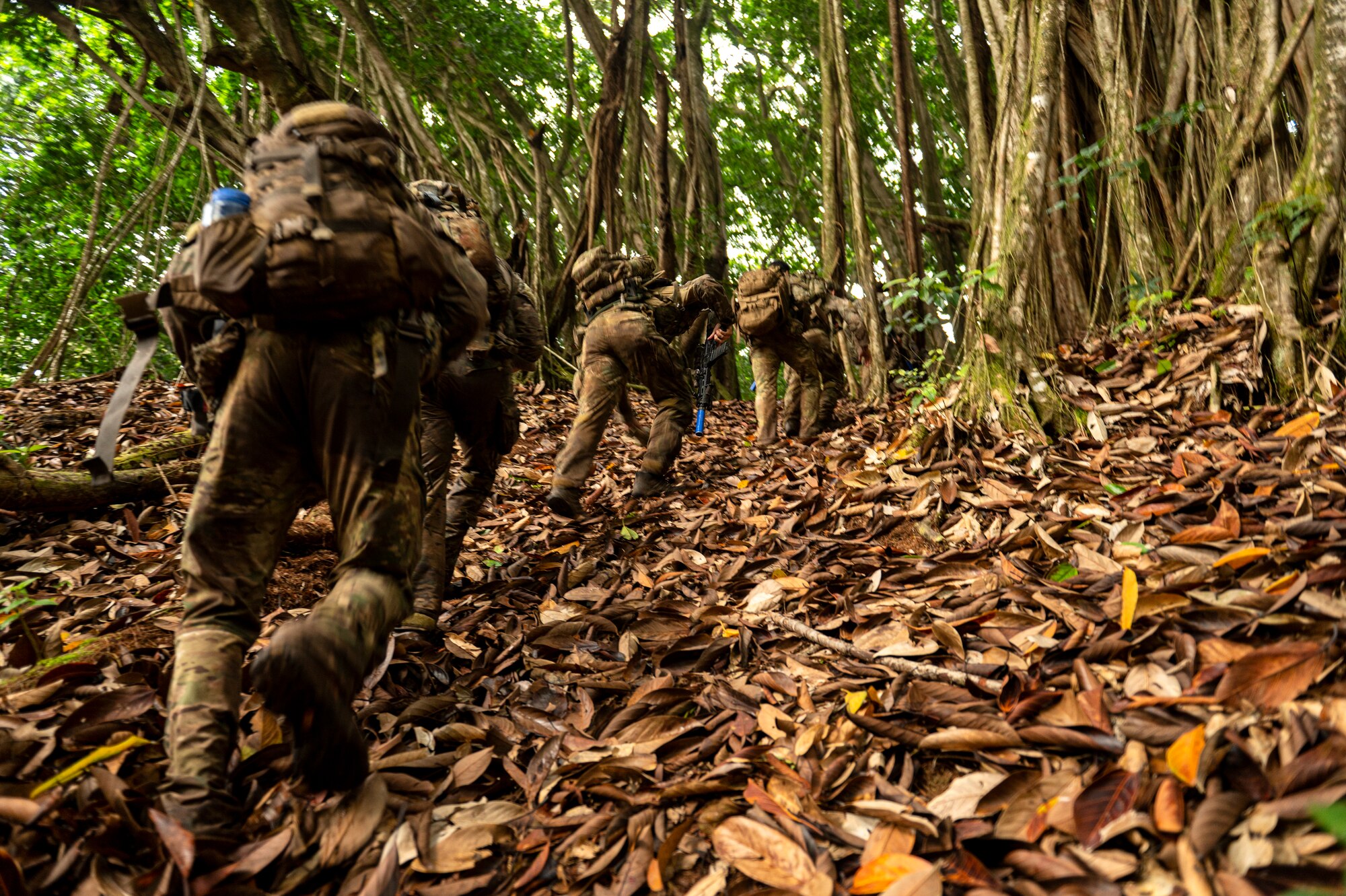 Photo of Airmen in the jungle