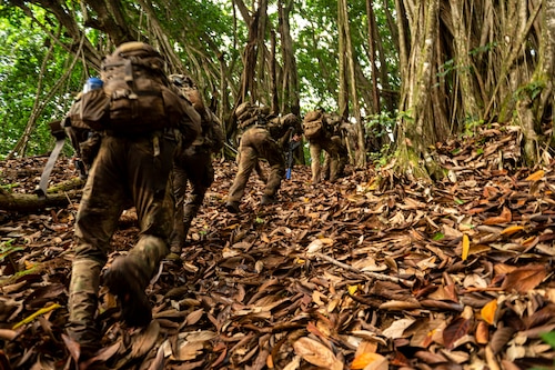 Photo of Airmen in the jungle