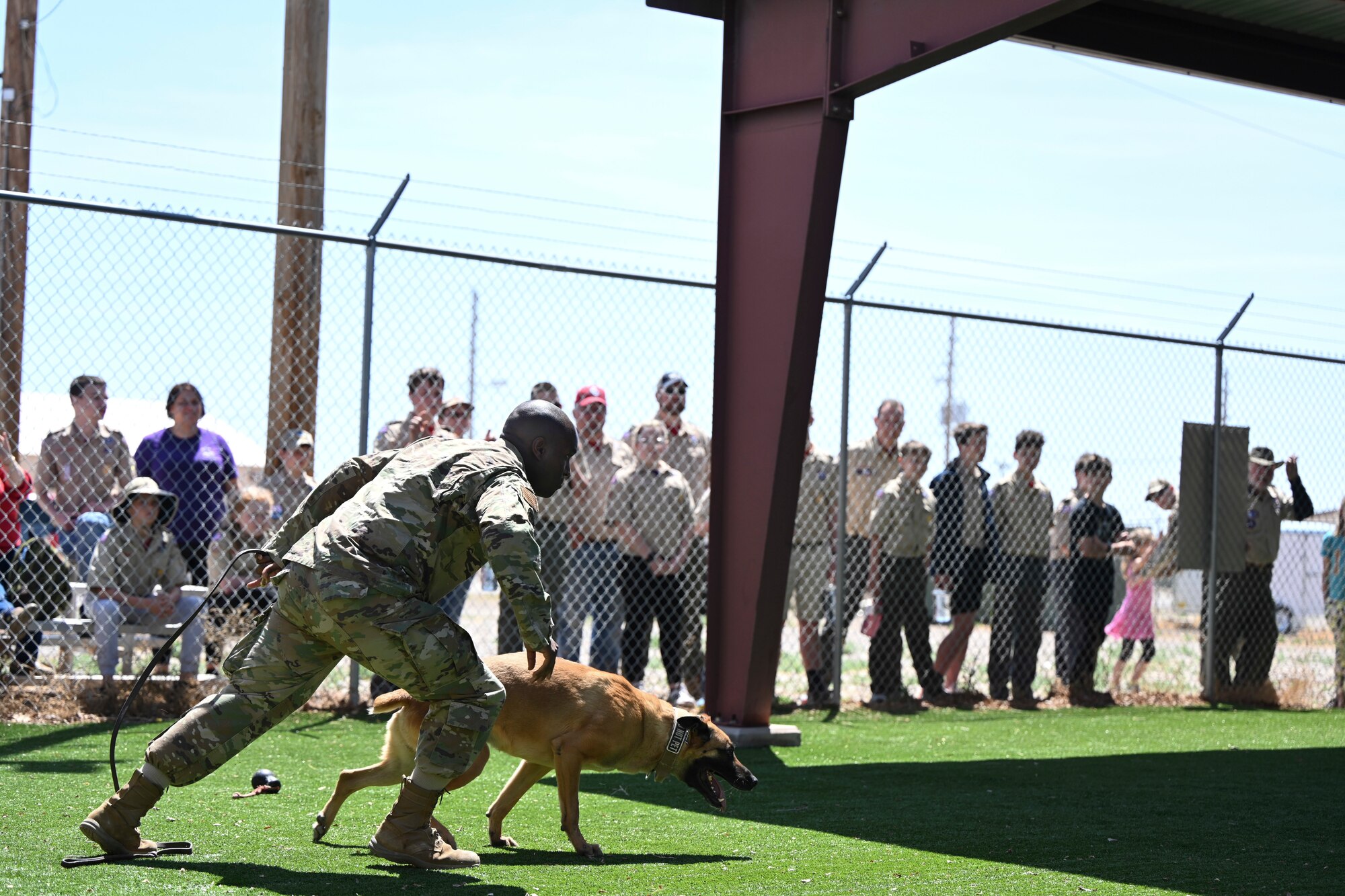 Staff Sgt. Benjamin Huntley, 49th Security Forces Squadron patrolman, and Nero A251, 49th SFS military working dog, take off toward an adversary during a patrol simulation as Scout Troop BSA 4434 watches, April 1, 2022, on Holloman Air Force Base, New Mexico. Opportunities to tour the base help educate the public on the many different facilities and operations that take place on Holloman. (U.S. Air Force photo by Airman 1st Class Antonio Salfran)