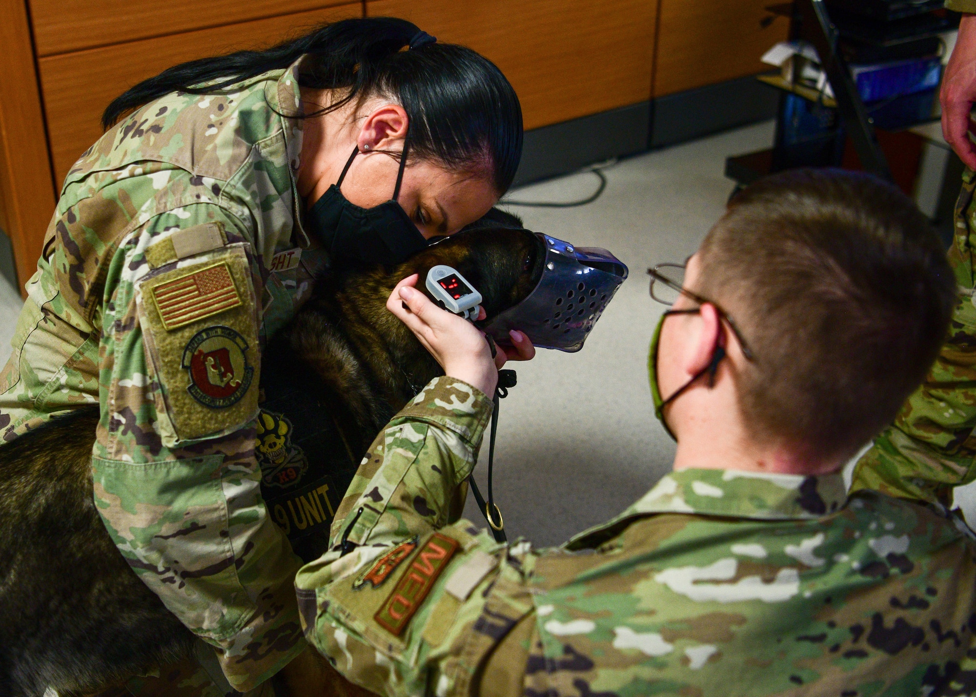 Senior Airman Amanda McKnight, 31st Security Forces Squadron Military Working Dog handler, holds her K-9, “Heny” while a 31st Medical Group Airman takes the dog’s pulse during a joint training session at Aviano Air Base, Italy, April 12, 2022. The training featured three different scenarios. In the third scenario medical personnel had the opportunity to get hands-on training with an actual MWD and ‘treat’ the dog. (U.S. Air Force photo by Senior Airman Brooke Moeder)