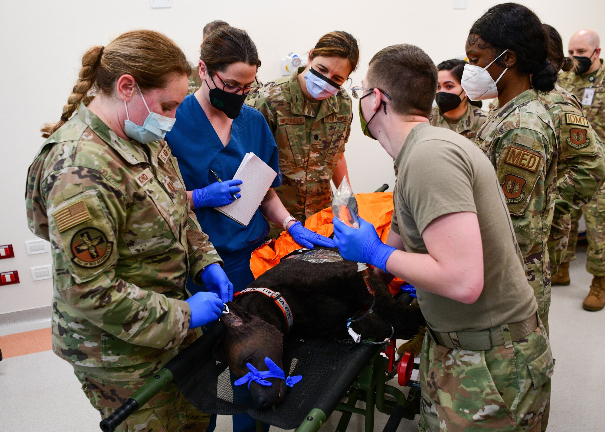 U.S. Air Force Airmen from the 31st Medical Group ‘treat’ a K-9 simulator for simulated wounds during a joint ‘trauma care under fire’ training in the 31st MDG, at Aviano Air Base, Italy, April 12, 2022. The K-9 simulator is a high fidelity training platform designed to provide medics and K-9 handlers the opportunity to practice realistic care for military working K-9s that incur traumatic injuries, whether that be in a deployed area or at home station. (U.S. Air Force photo by Senior Airman Brooke Moeder)