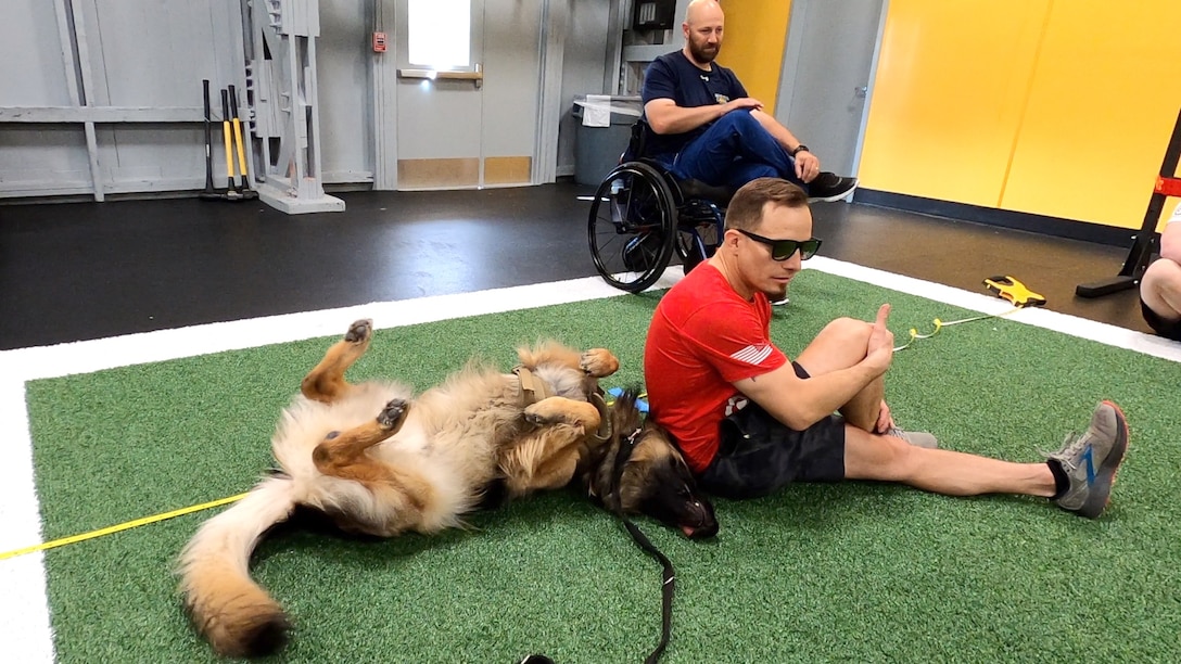An RSM and his service dog stretch after training.