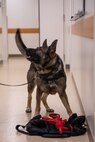 Photo by Lance Cpl. Calah Thompson
