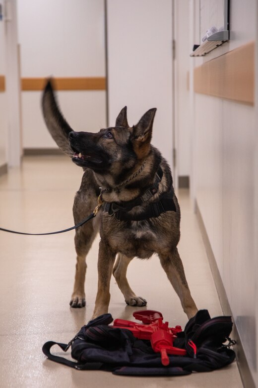Photo by Lance Cpl. Calah Thompson