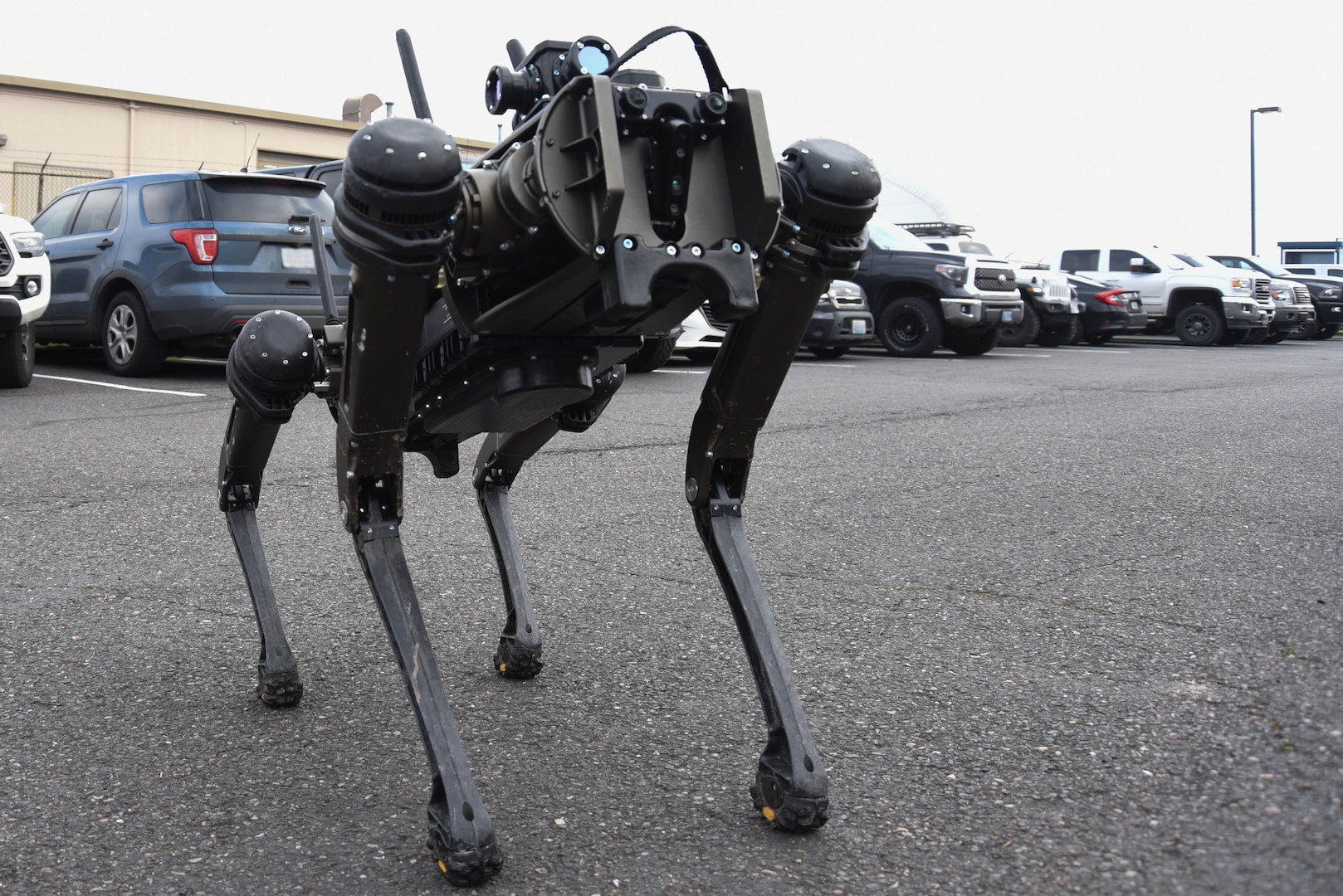 Robo cheap dog vehicle