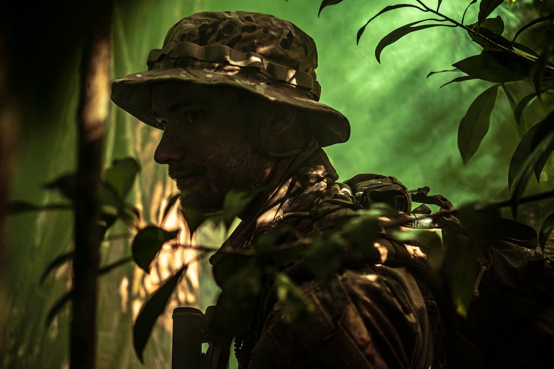 An airman walks through a jungle.