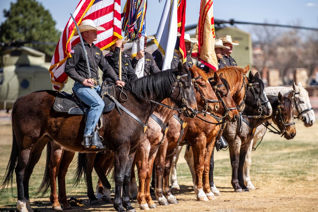 Soldiers on horseback stand in formation holding flags.