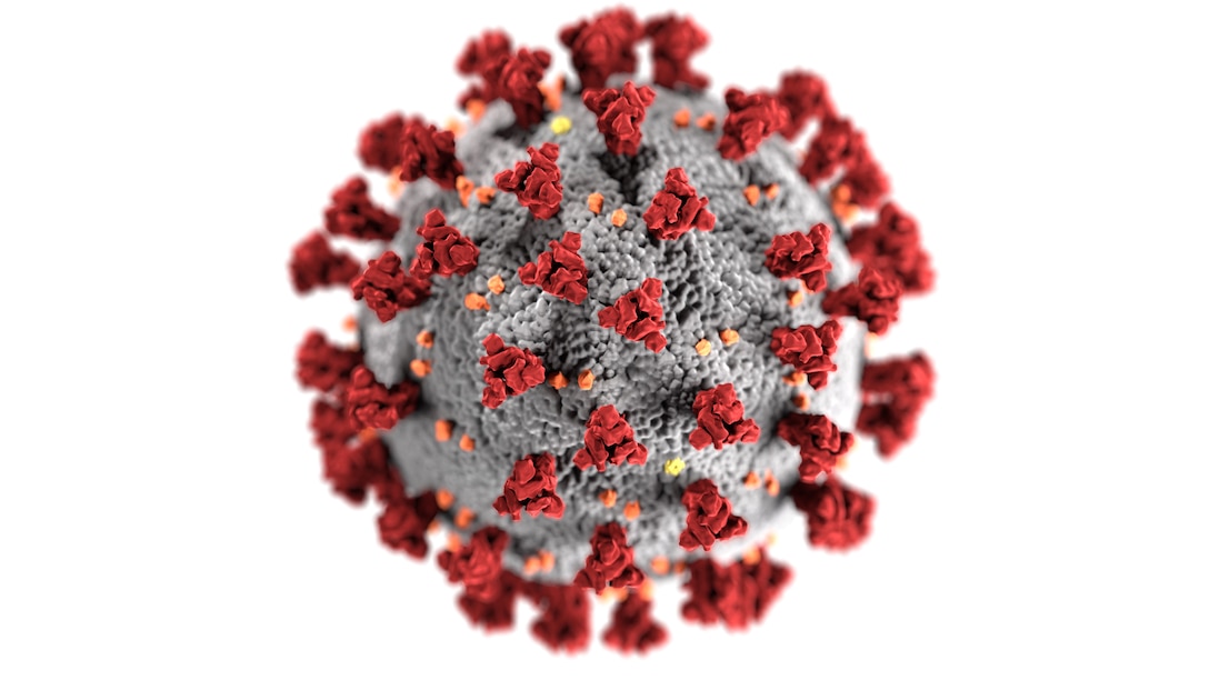 This illustration, created at the Centers for Disease Control and Prevention (CDC), reveals ultrastructural morphology exhibited by coronaviruses. Note the spikes that adorn the outer surface of the virus, which impart the look of a corona surrounding the virion, when viewed electron microscopically. A novel coronavirus, named Severe Acute Respiratory Syndrome coronavirus 2 (SARS-CoV-2), was identified as the cause of an outbreak of respiratory illness first detected in Wuhan, China in 2019. The illness caused by this virus has been named coronavirus disease 2019 (COVID-19). (Credit: Center for Disease Control)