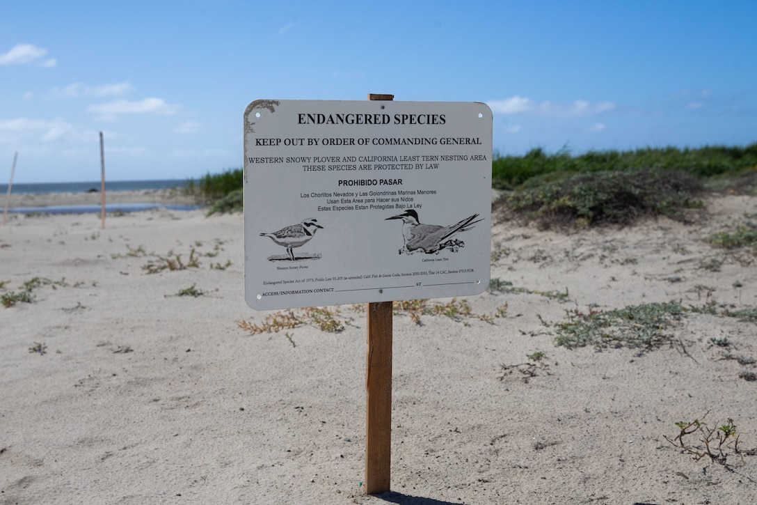 An endangered species sign is posted along the coastline on Marine Corps Base Camp Pendleton, Calif., March 29, 2022. As a result of Pendleton’s Environmental Security Department taking charge in protecting the environment and wildlife habitats, both the California gnatcatcher and kangaroo rat have been reduced from endangered to threatened species. Safeguarding endangered and threatened habitats also allows Camp Pendleton to maintain the same training environment and quality training opportunities for Marine Corps operational forces.