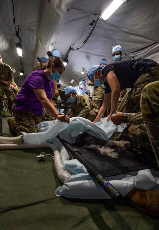 Soldiers assigned to the 218th Medical Detachment (Veterinary Service Support) move a dog to a recovery station after surgery at the Naval Veterinary Clinic on Naval Base Kitsap-Bangor in Silverdale, Washington, Dec. 7, 2021. The 218th MDVSS is temporarily assigned to Naval Base Kitsap-Bangor's Naval Veterinary Clinic to conduct medical training and provide medical care to the pets of active and retired service members.