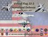 graphic with USAF aircraft and emblems on a U.S. flag background for Virtual Flag: Homeland Defense exercise