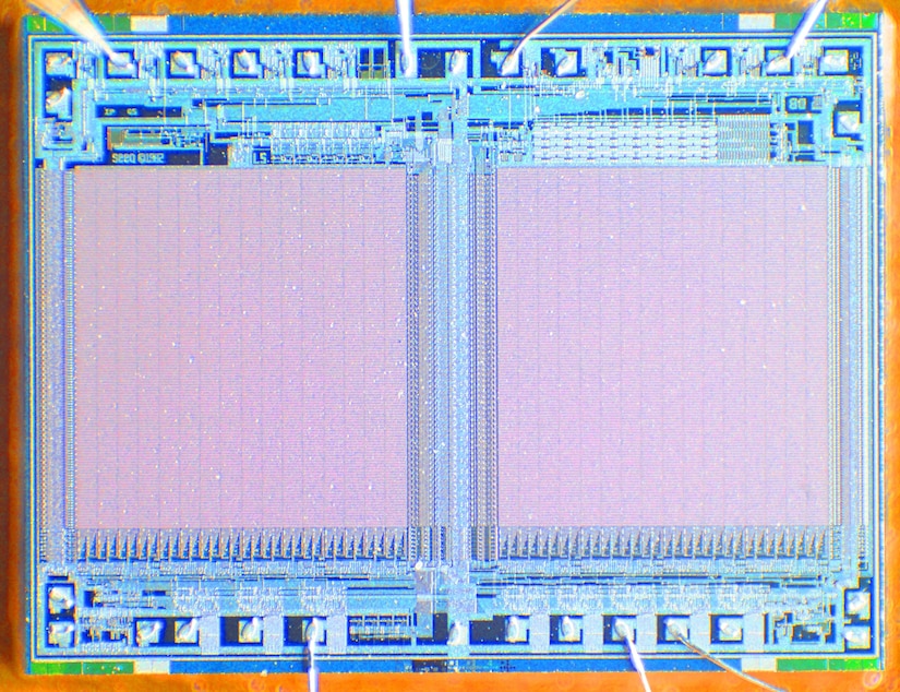 A photo shows a microchip.