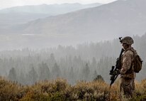 Fog of War