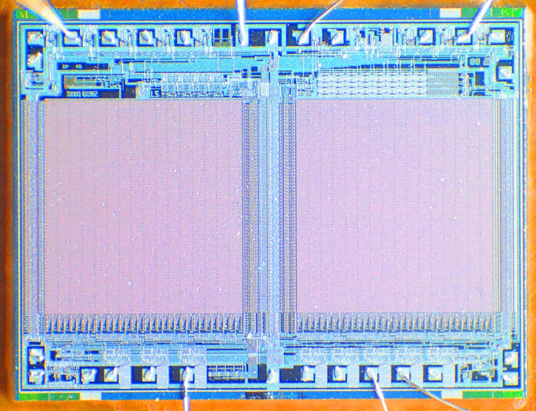 A photo shows a microchip.