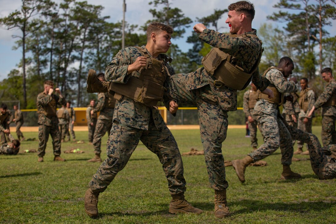 Becoming a Marine Corps Martial Arts Instructor