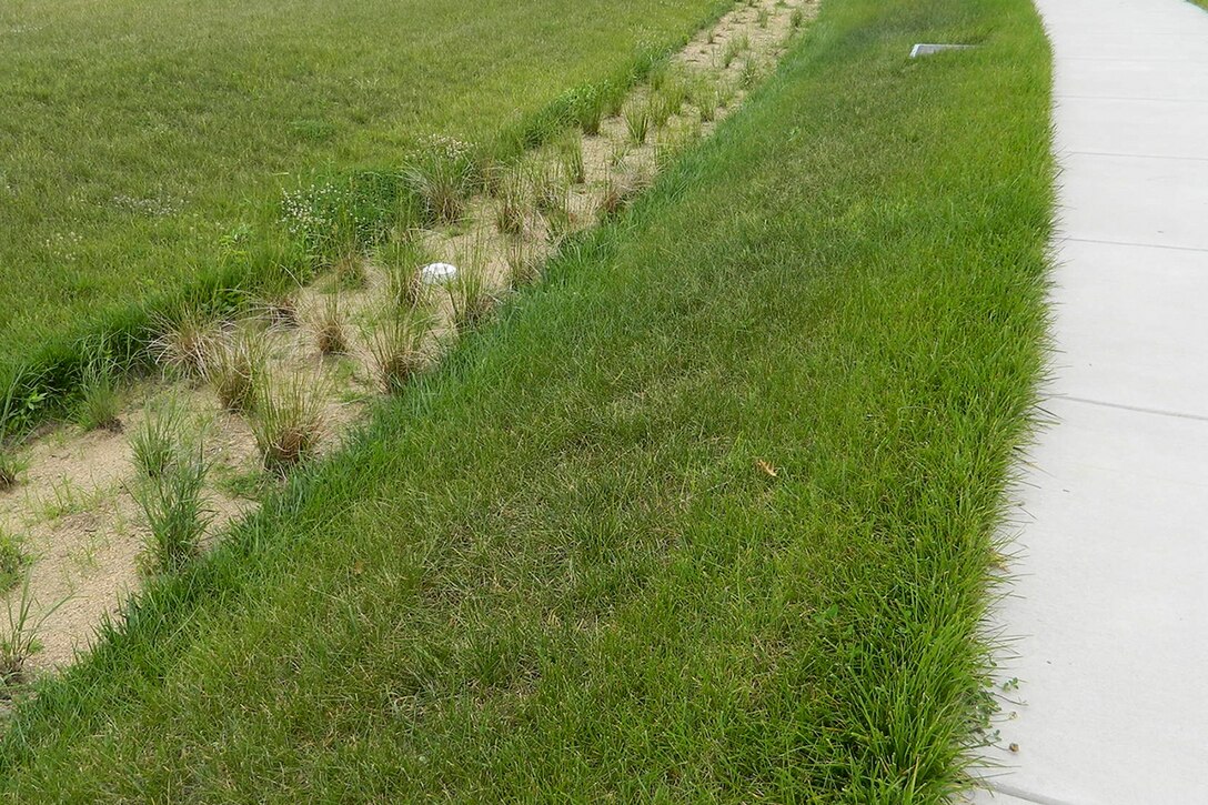 This bioswale at NSA-Washington holds rain water in place and acts as a filter before the water either recharges groundwater or flows into surface waters.