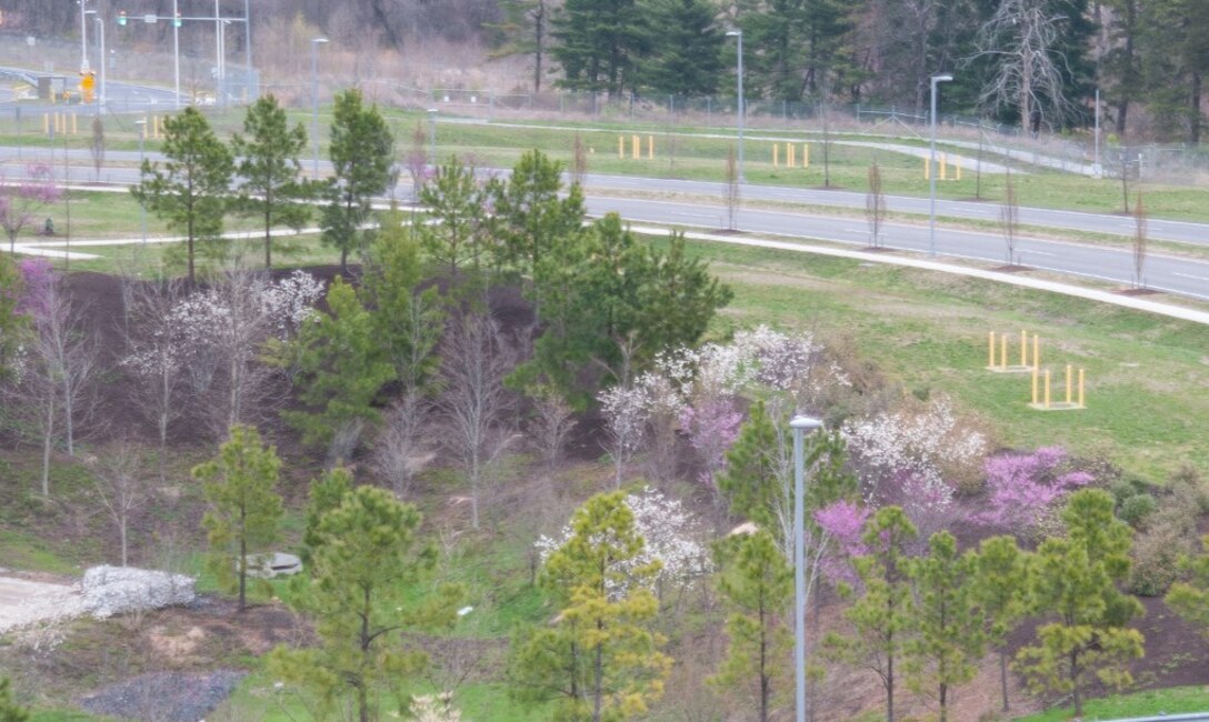 Microbioretentions and bioswales absorb, treat, and manage stormwater, as well as increase the biodiversity of our campus.