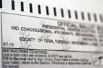 macro photo of a voting ballot
