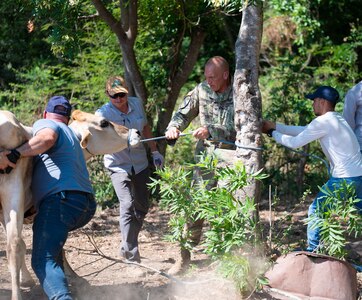 JTF-Bravo vaccinates cattle during VETRETE