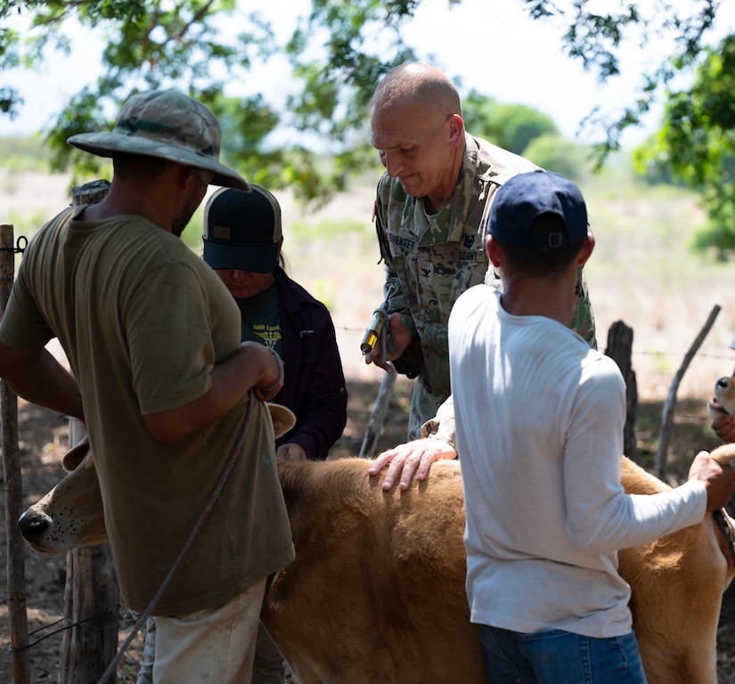 JTF-Bravo vaccinates cattle during VETRETE