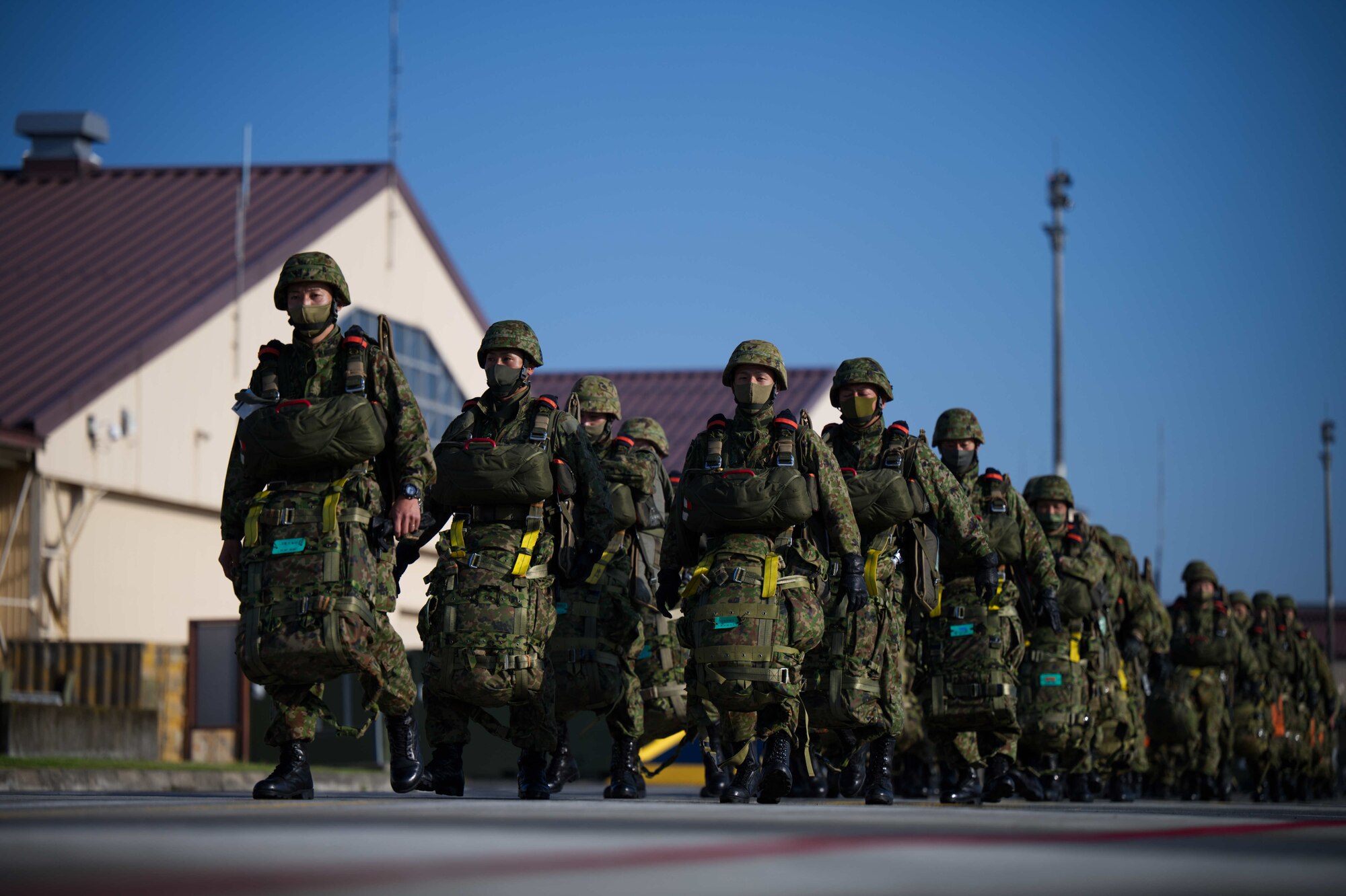 JGSDF members line up on the flightline.