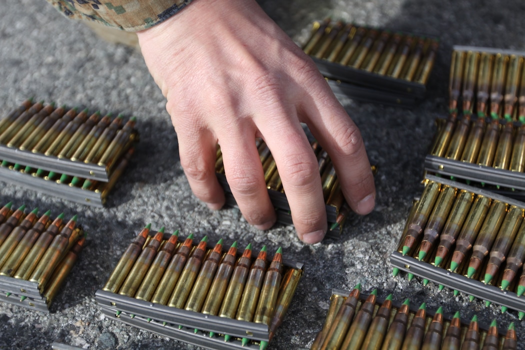 A photo of a a hand holding ammunition