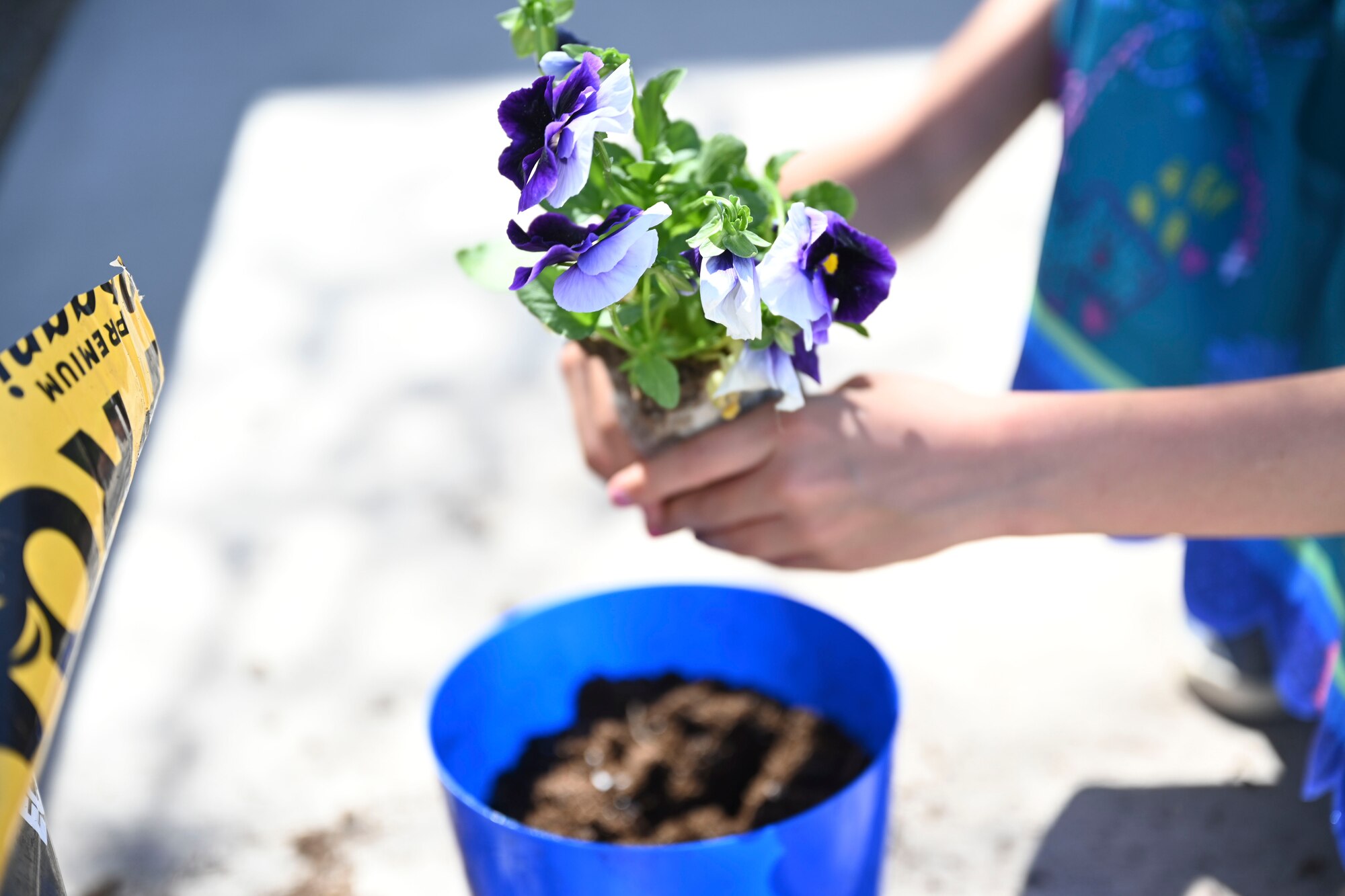 A child plants a flower during an Earth Day extravaganza at the Soaring Heights Communities leasing office, on Holloman Air Force Base, New Mexico, April 21, 2022. Soaring Heights provided Holloman families with supplies to plant and take home fresh flowers. (U.S. Air Force photo by Airman Isaiah Pedrazzini)
