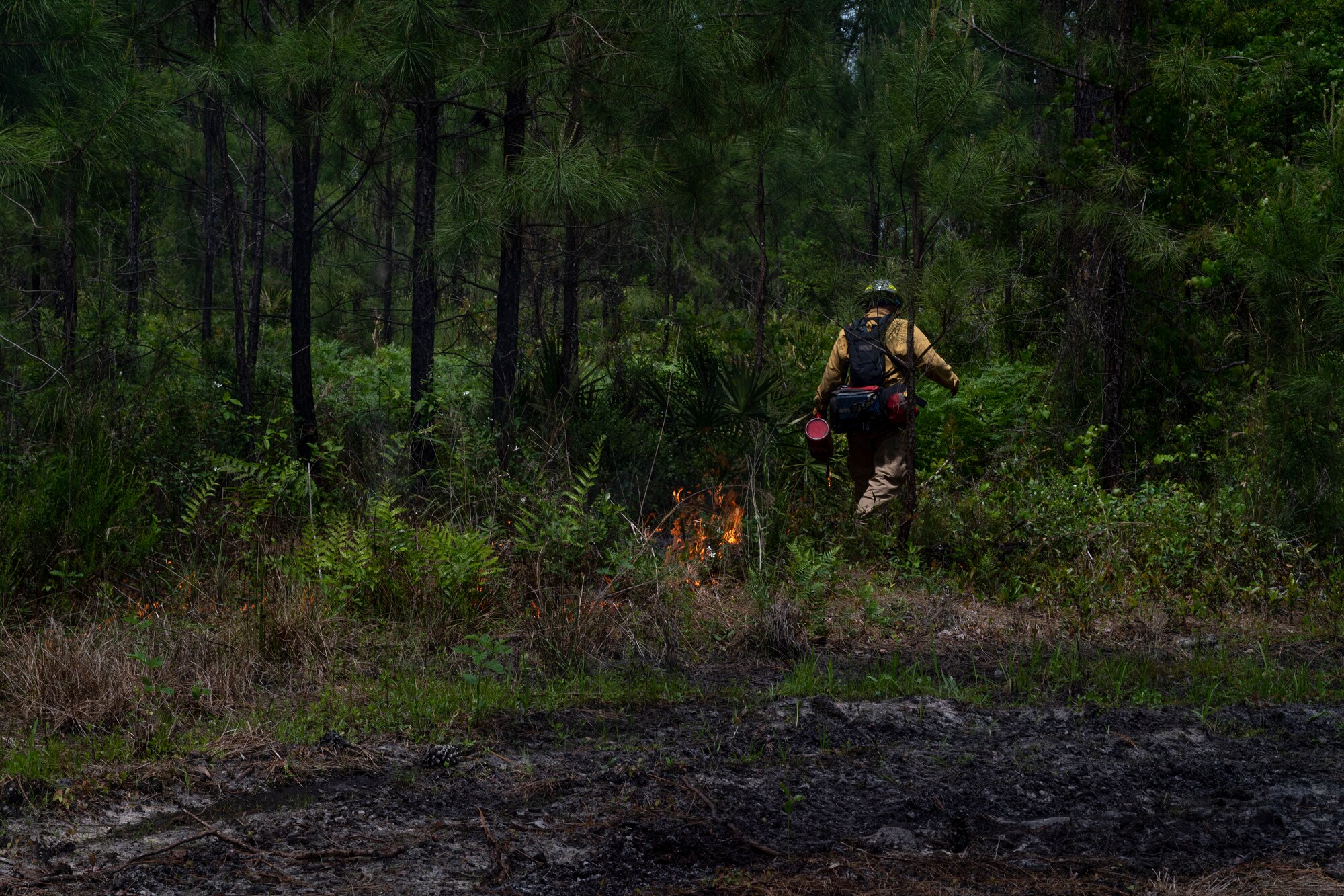 Photo of an Airman lighting shrubs on fire