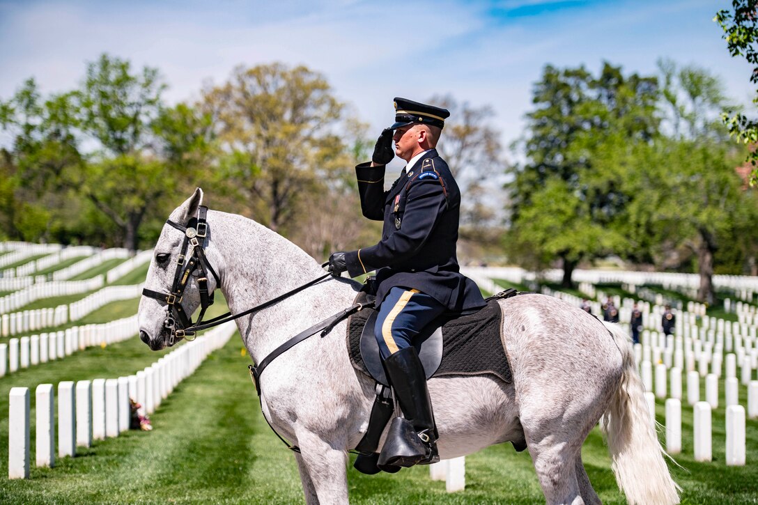 A soldier sits on a horse at a cemetery during a funeral.