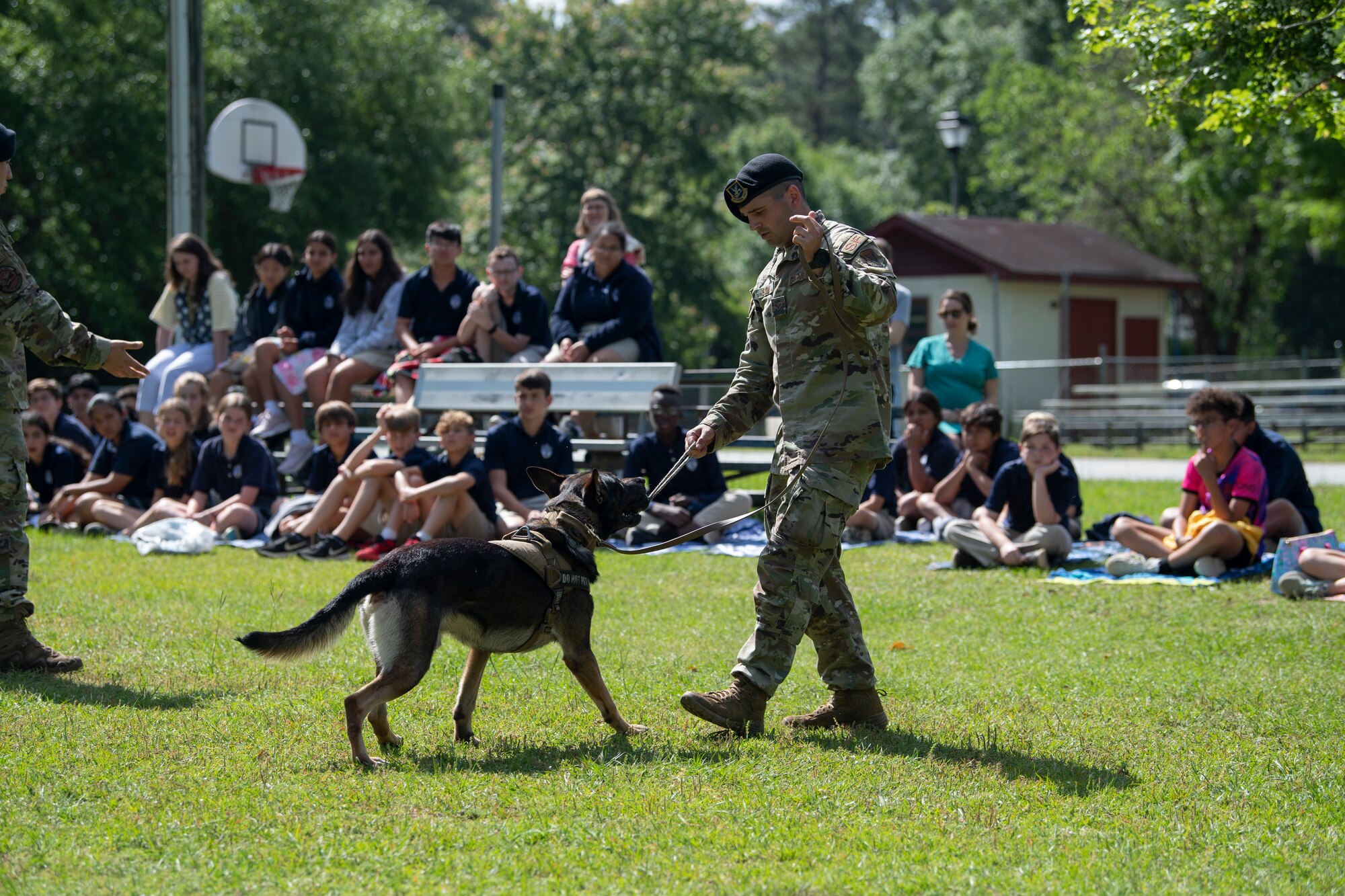 A photo of a dog biting a dog toy in a man hand.