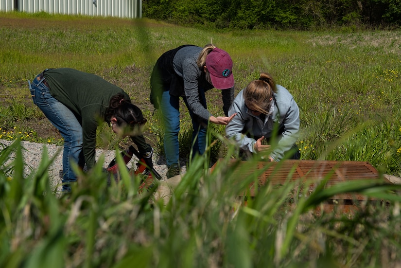 Individuals place frog ladders in storm drains.