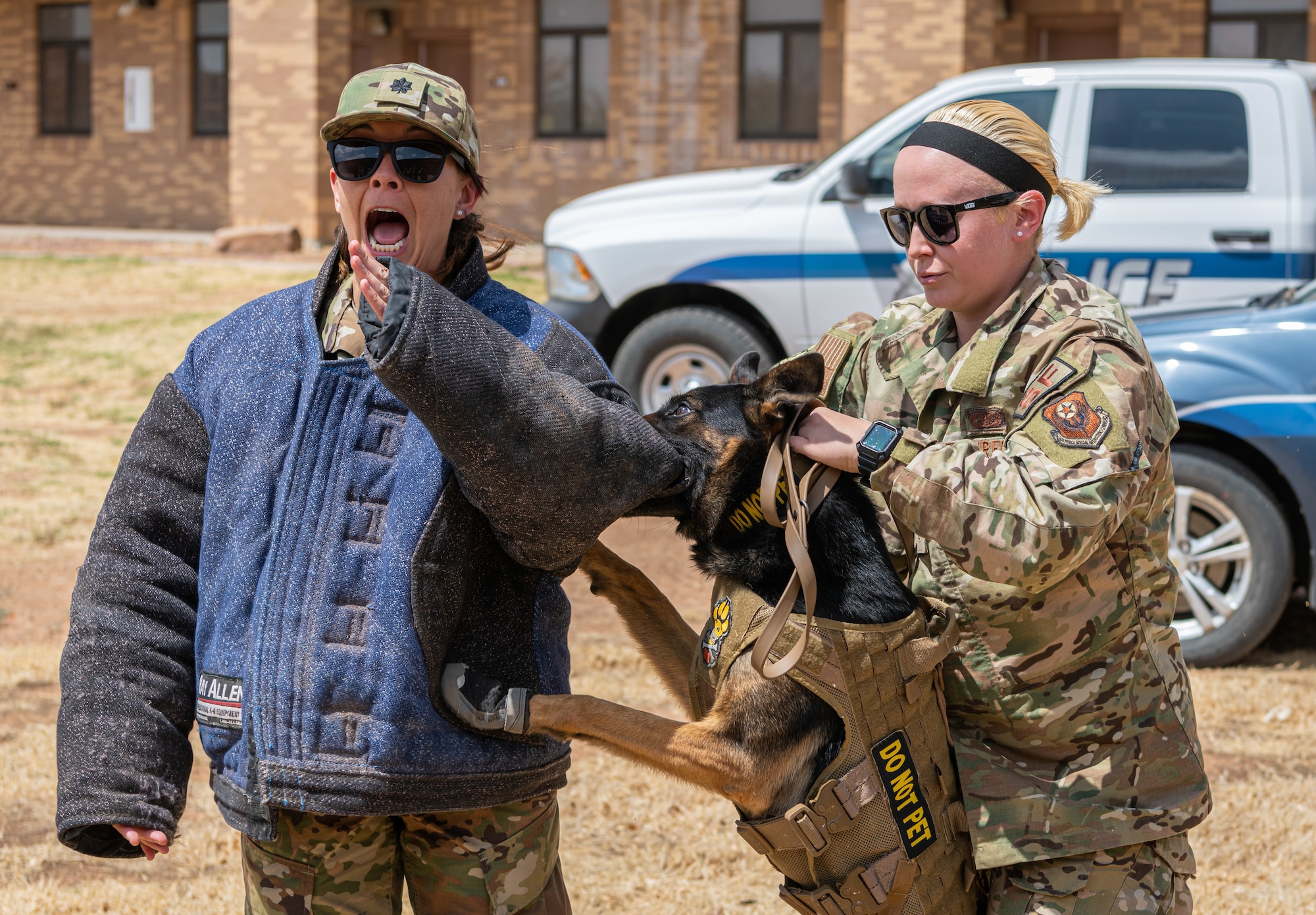 An Airman wearing a protective suit reacts as a military working dog handler guides a military working dog to bite her arm.