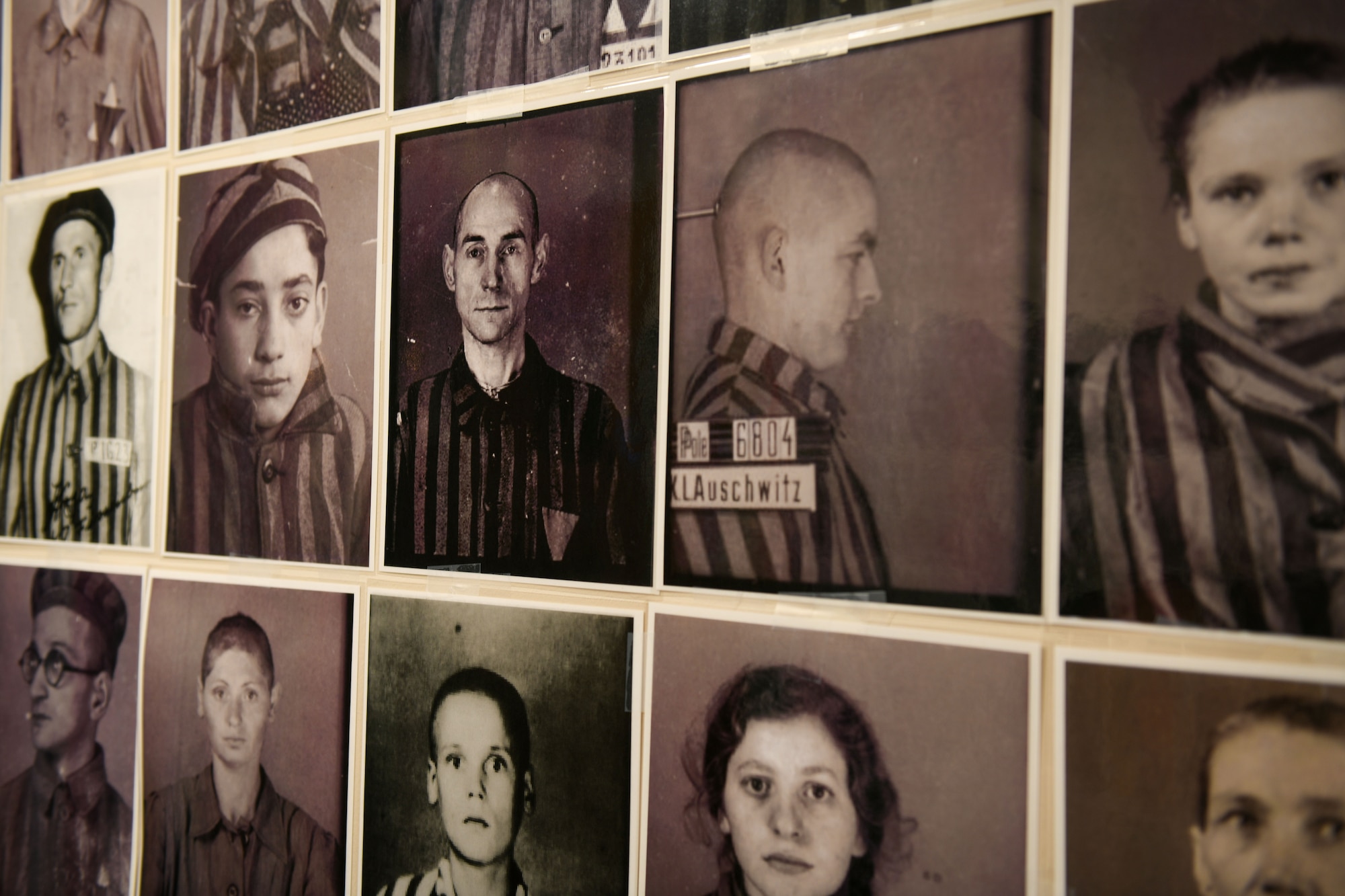 Photos of Holocaust victims.