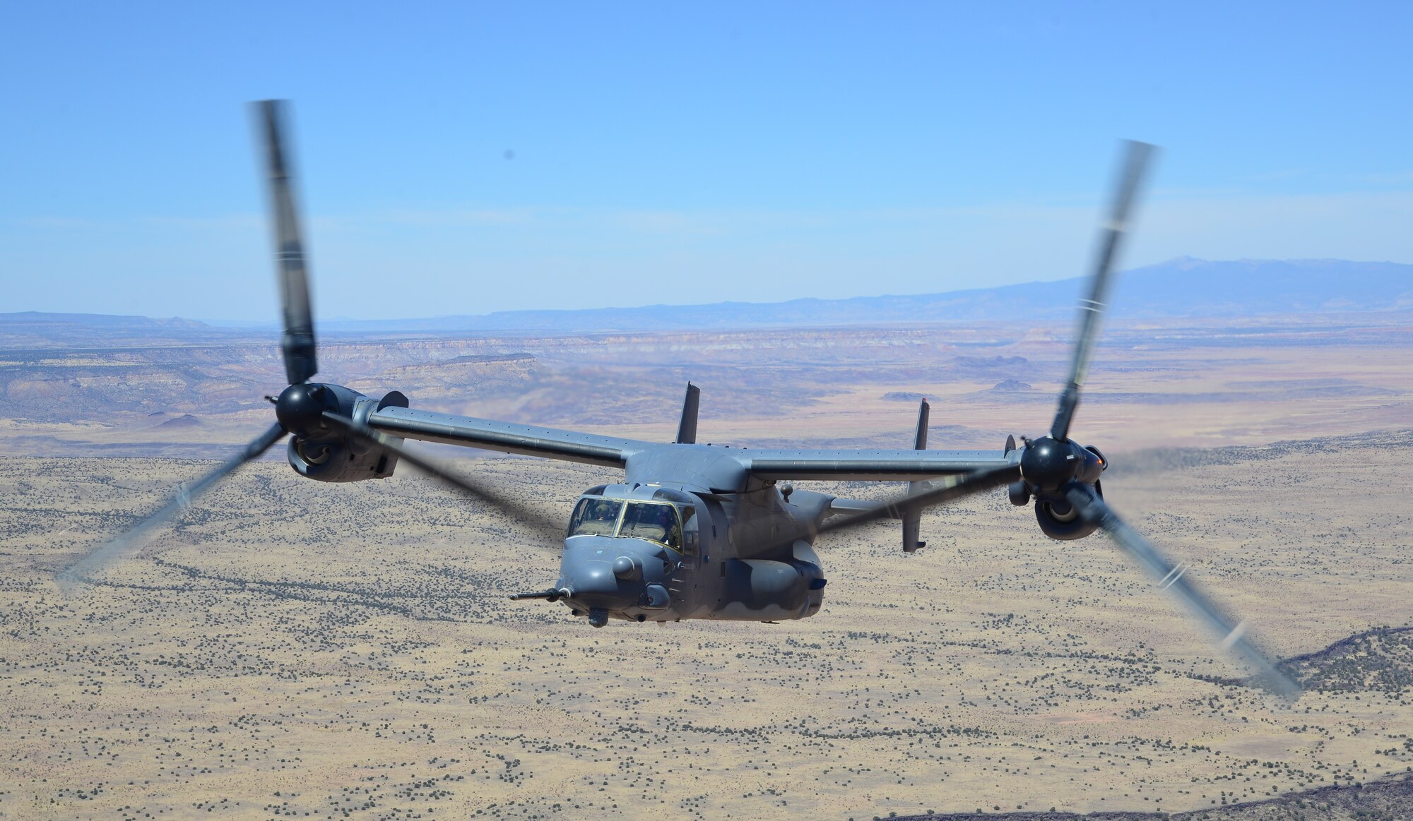 Flight of the Osprey