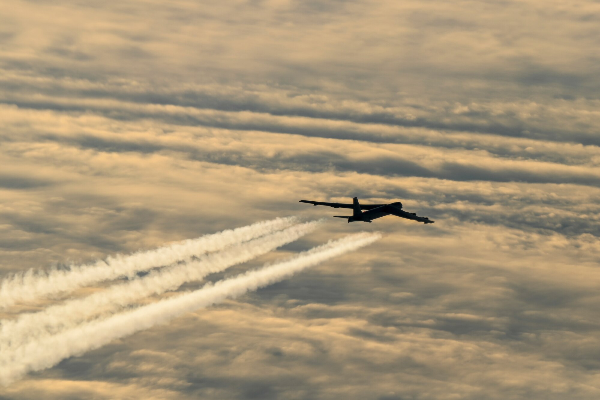 Soaring over the Artic