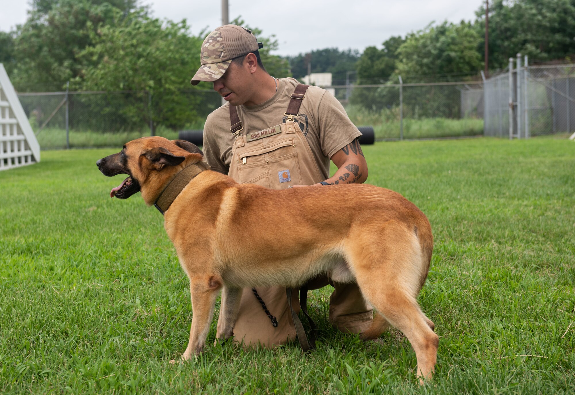 A military member trains his working dog.