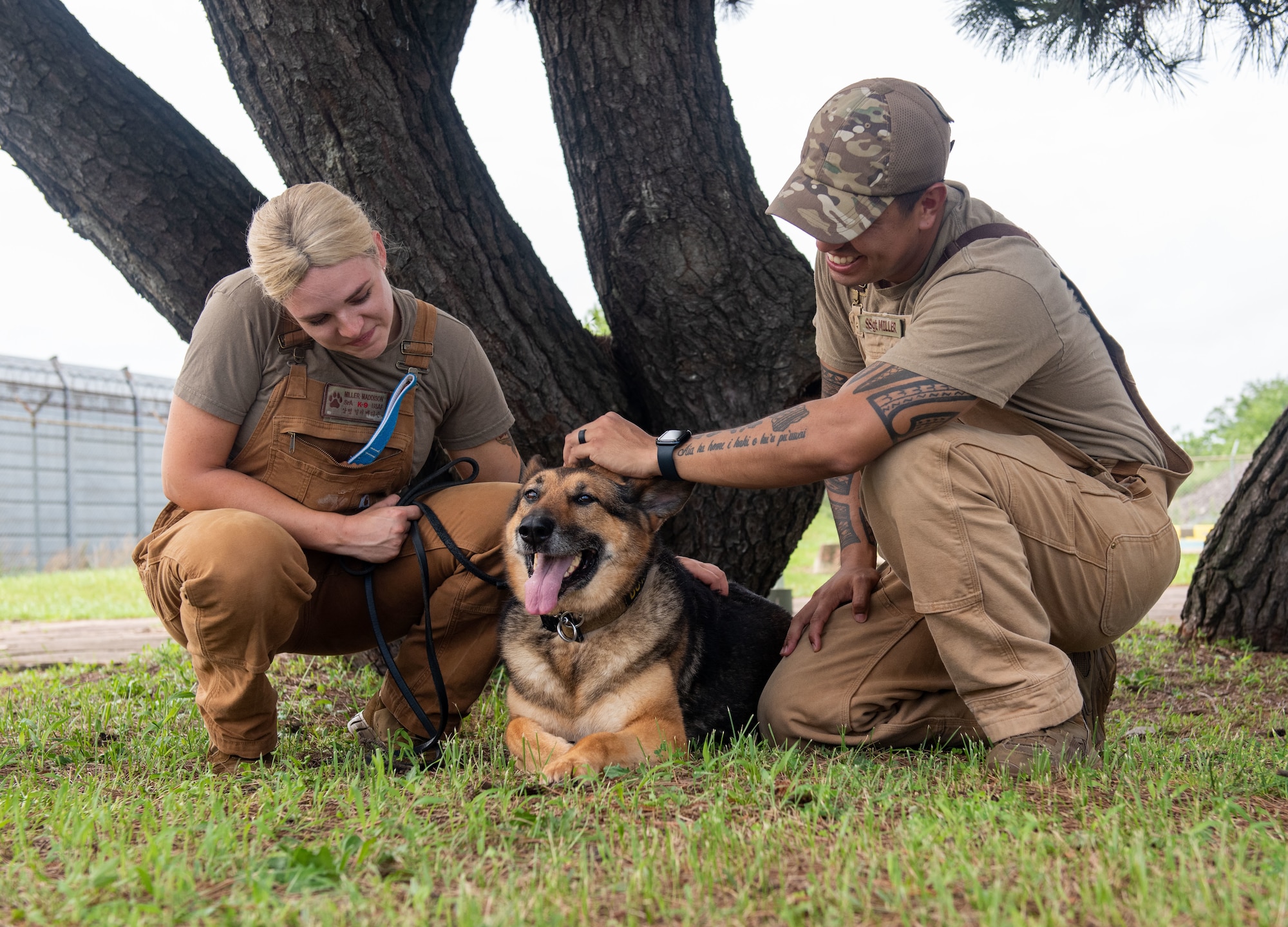 Service dog discount handler training