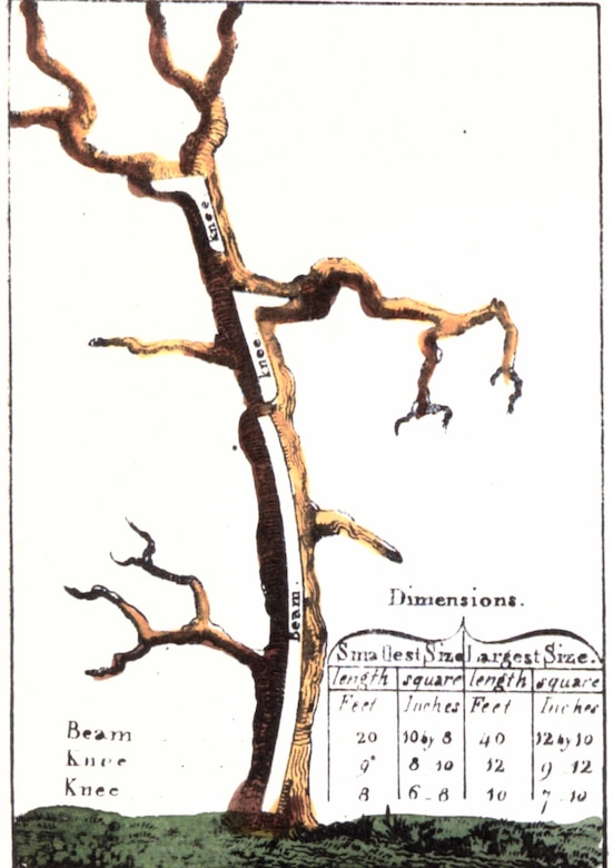 shows how the natural shapes of trees were assessed for practical use in shipbuilding

Peter Guillet’s Timber Merchant’s Guide