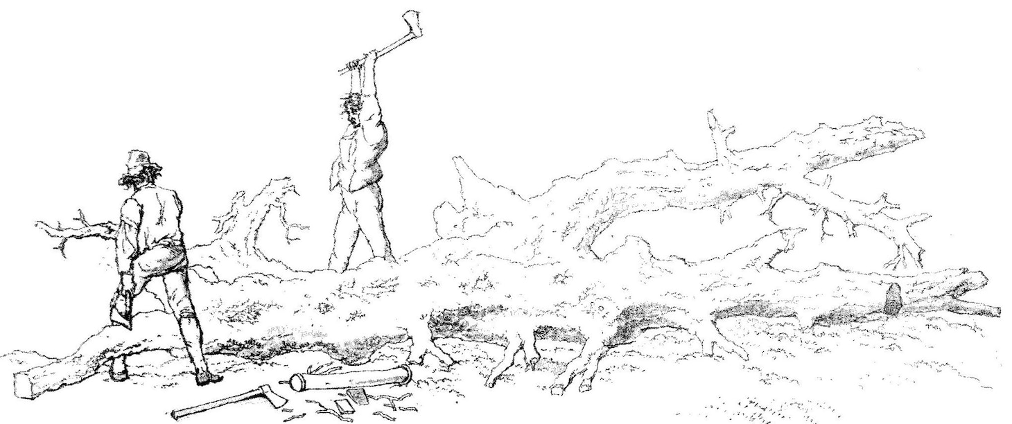 illustration demonstrating the extremely difficult work of felling large trees; from William Henry Pyne’s Microcosm