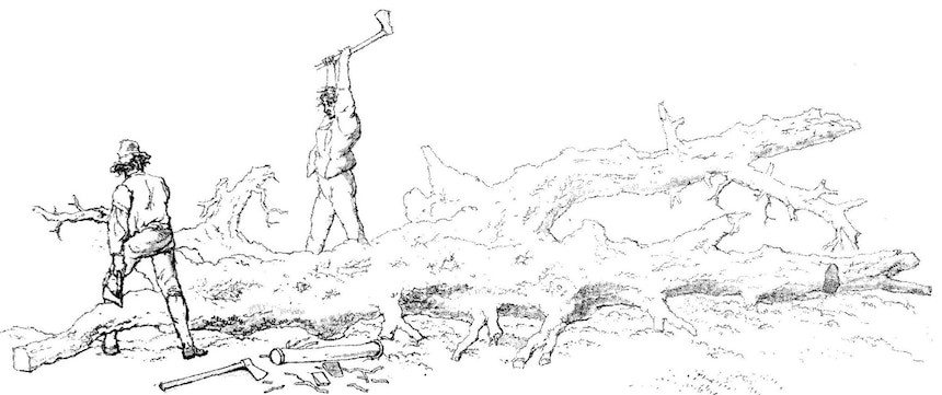 illustration demonstrating the extremely difficult work of felling large trees; from William Henry Pyne’s Microcosm
