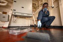 220706-N-PC065-1057 RIJEKA, Croatia (July 6, 2022) – Yeoman 2nd Class Justin Jackson, from San Antonio, assigned to the San Antonio-class amphibious transport dock ship USS Arlington (LPD 24), paints a deck inside the ship during preservation work for mid-deployment voyage repairs in Rijeka, Croatia, July 6, 2022. Arlington is part of the Kearsarge Amphibious Ready Group and embarked 22nd Marine Expeditionary Unit, under the command and control of Task Force 61/2, on a scheduled deployment in the U.S. Naval Forces Europe area of operations, employed by U.S. Sixth Fleet, to defend U.S., allied and partner interests. (U.S. Navy photo by Mass Communication Specialist 1st Class John Bellino)